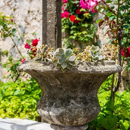 Apartment Marija Close To Old Town Dubrovnik Extérieur photo