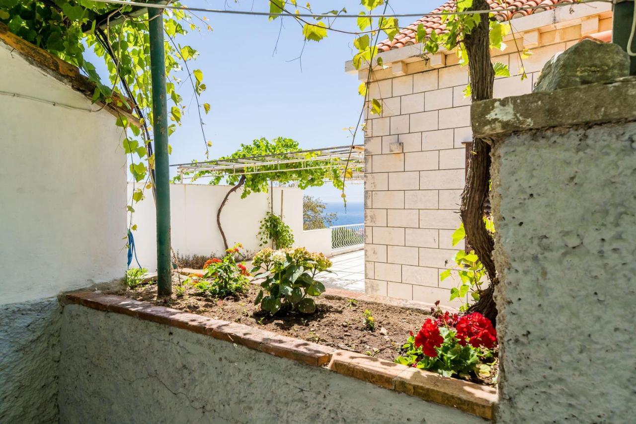 Appartement Marija Close To Old Town Dubrovnik